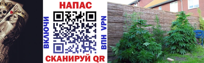 Названия наркотиков Апшеронск АМФ  МЕТАДОН  Alpha PVP  ГАШ  Каннабис  Меф 
