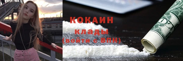 молекула духа Алзамай