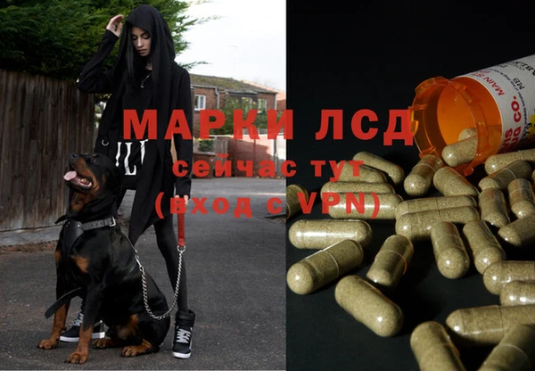 прущий лед Алексеевка
