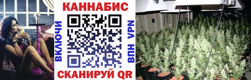 Бошки Шишки SATIVA & INDICA Апшеронск